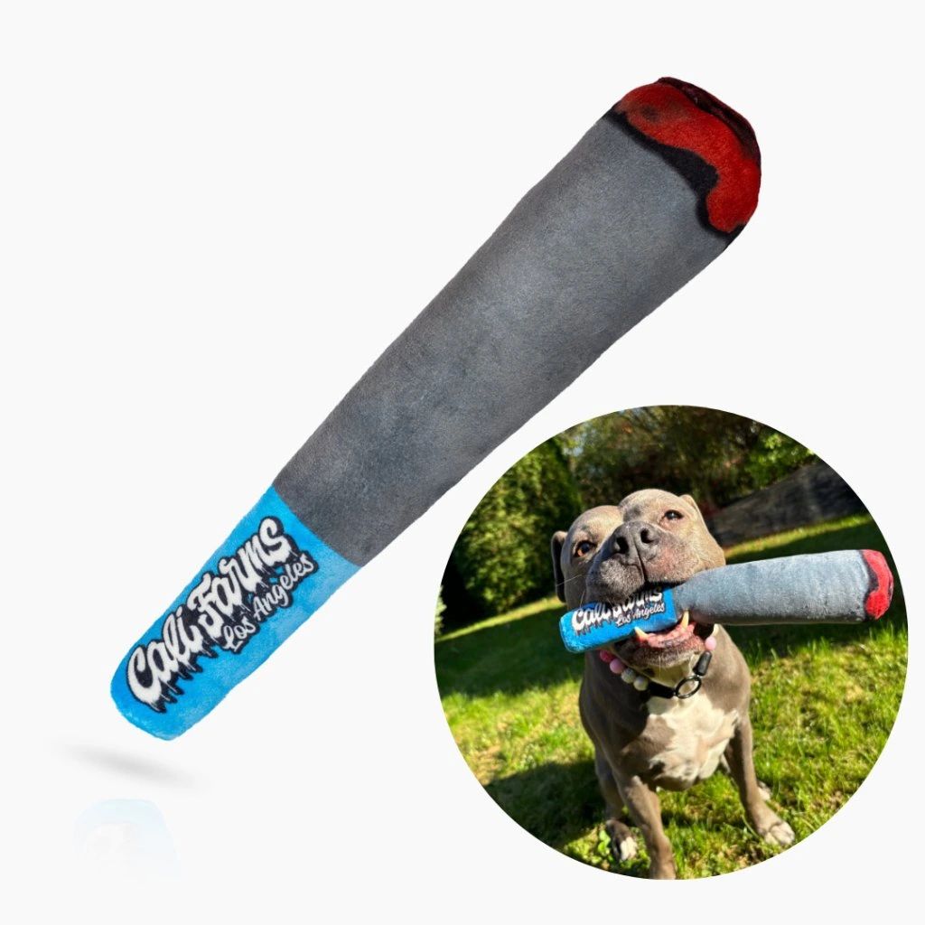 Plüschspielzeug für Hunde mit Quietscher – JOINT, 26 cm Produktbild 