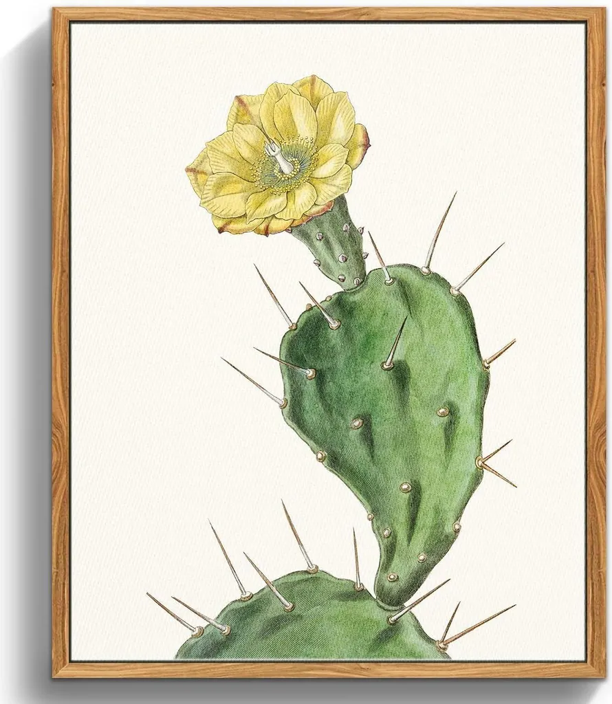 Quadri su tela Vintage Botanical 30x40 cm con cornice in legno - Opuntia Flowering Plants Arte murale estetica