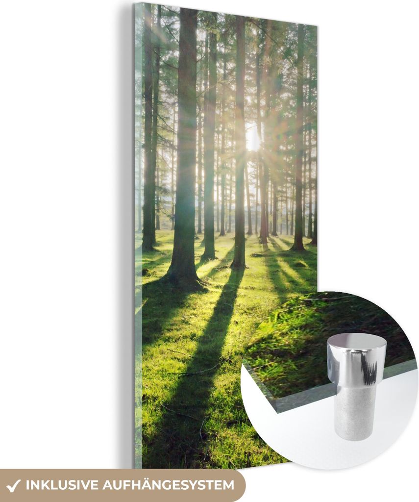 MuchoWow Glasbilder - Bilder auf Wandbild - Foto auf Glas Bäume - Natur - Wald 60x120 cm Wanddekoration aus Glas - Acrylglasbild - Acrylbilder - S...