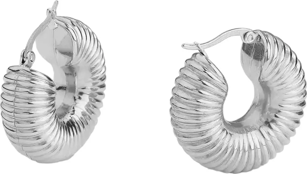 Orecchini Jenny in Argento: Semplicità Pura ed Eleganza KP28724