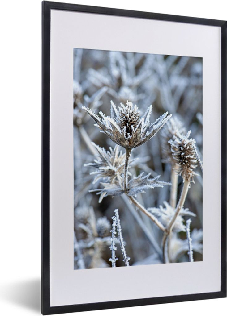 MuchoWow MuchoWow Gerahmtes Poster Distel - Gefroren - Winter 40x60 cm - Poster mit zchwarzem Bilderrahmen - Poster in Rahmen