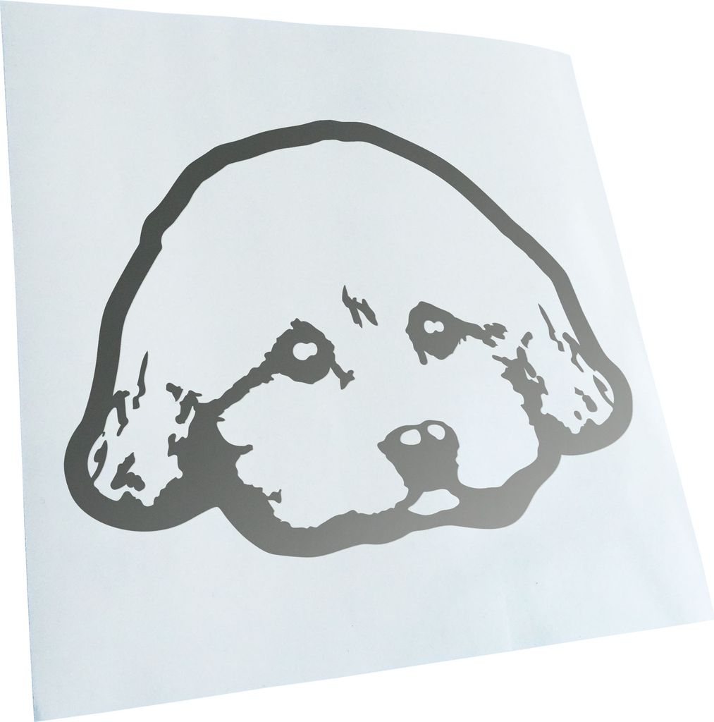 Kiwistar - Autoaufkleber - yorkie poo Hund - Goldchrom - 14x10cm - Aufkleber für Auto, Laptop, Fahrrad, LKW, Motorrad mehrfarbig JDM Decal Racing