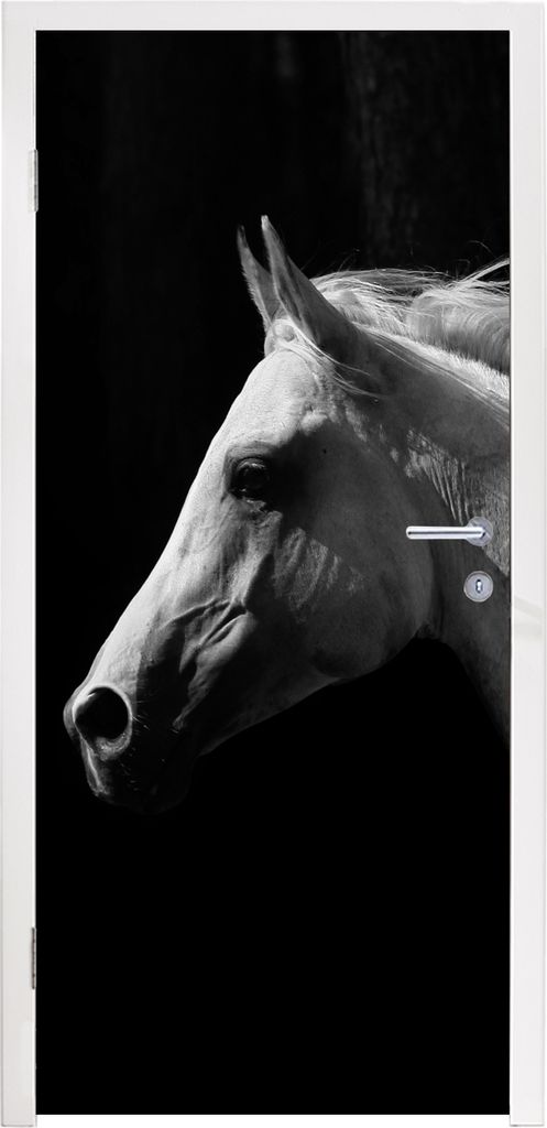 MuchoWow Türtapete Selbstklebende Türfolie Pferde - Tiere - Porträt 90x215 cm Türposter Türaufkleber Klebefolie Türklebefolie