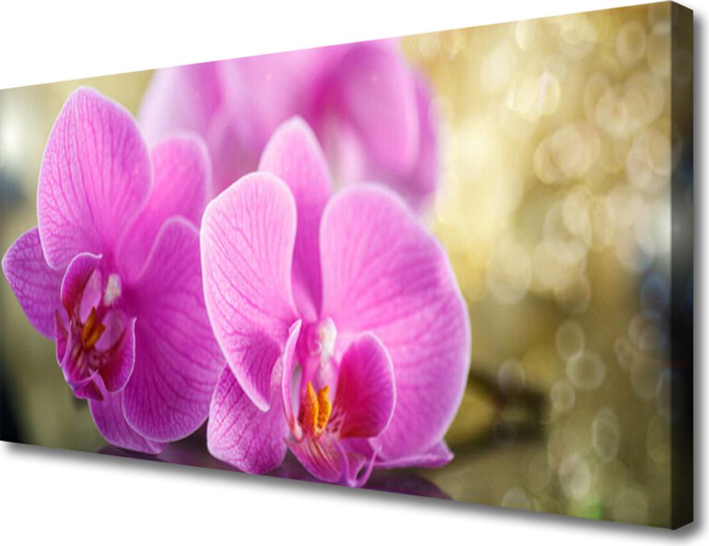 Tulup Leinwand-Bilder 100x50 Wandbild Canvas Kunstdruck Blumen Pflanzen