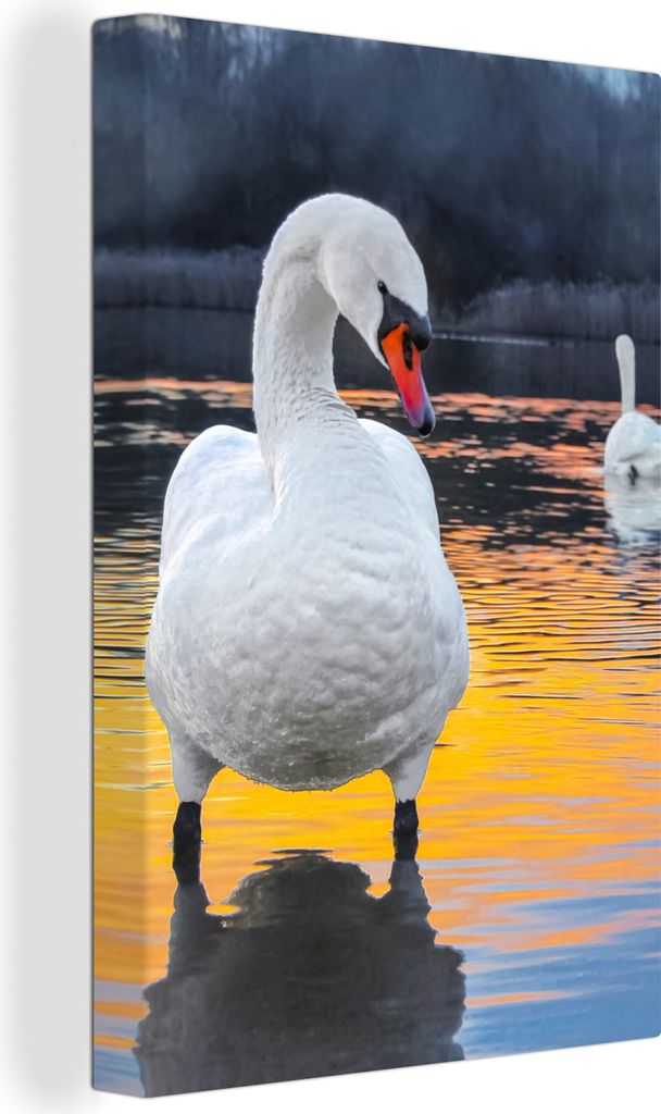 OneMillionCanvasses - Leinwandbilder - 90x140 cm, Schwan - Vogel - Sonnenuntergang - Wasser, Wandbilder Kunstdruck Wanddekoration - Foto auf Lein...