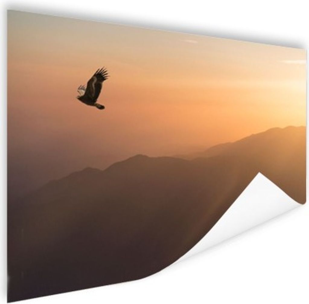 MuchoWow Poster Weißkopfseeadler - Fliegen - Natur - Sonne - Licht - Vögel 180x120 cm - Fotoplakat