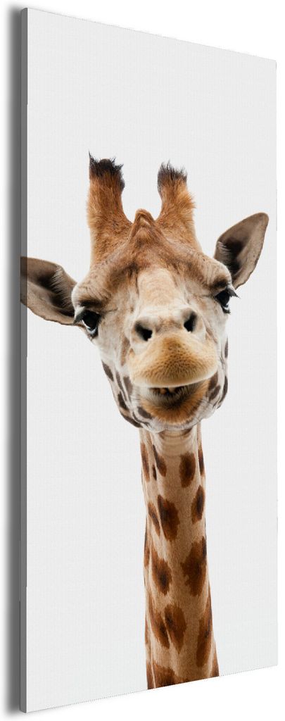 Wallario Premium Leinwandbild Giraffenkopf in Größe 50 x 125 cm