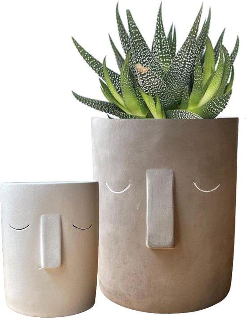 Keramische Plantenpotten Set 2 Grau und Weiß - Indoor-Blumenpflanzentöpfe - Keramikgefäße