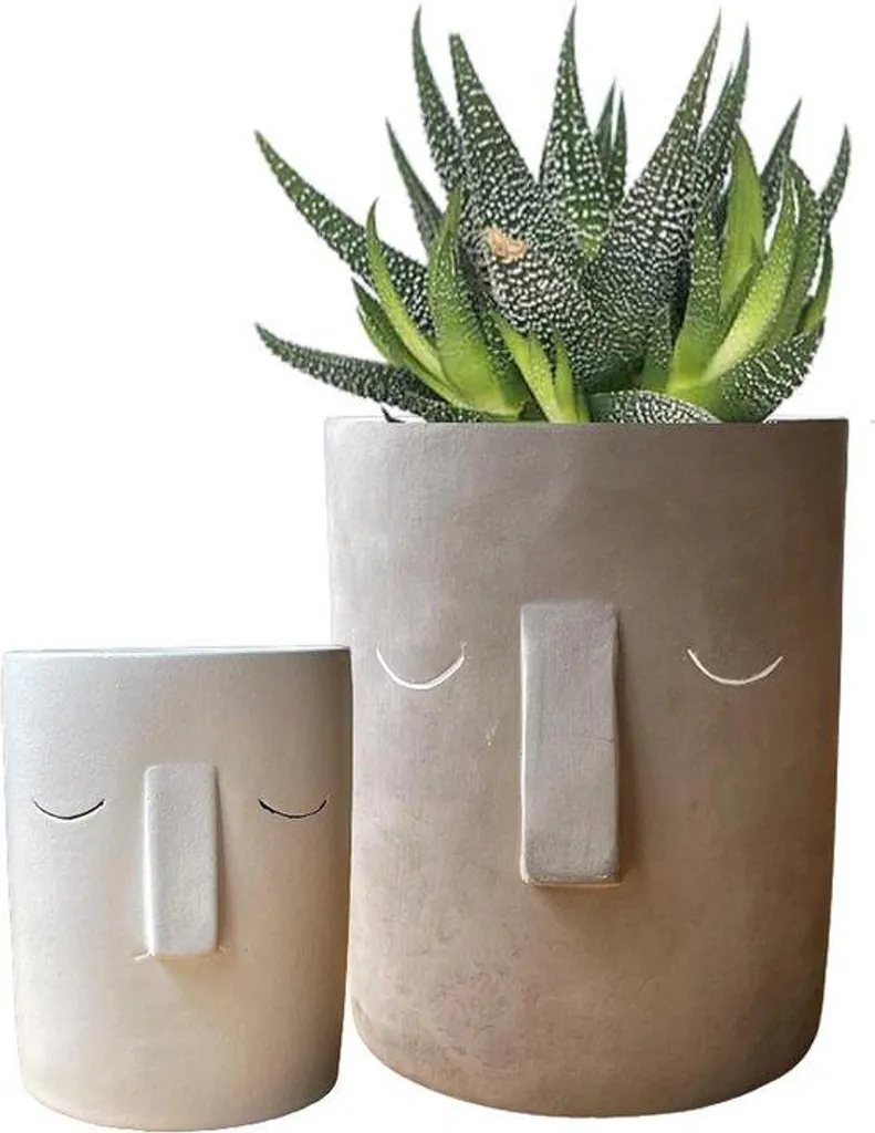 Pots de fleurs d'intérieur en céramique pour succulentes et orchidées