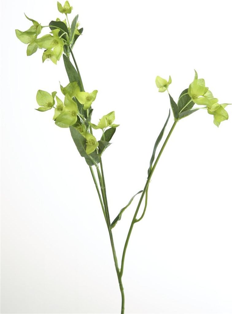 Fink WAXBLUME, Kunstblume, Kunstfasern, grün, L. 64 cm 181837
