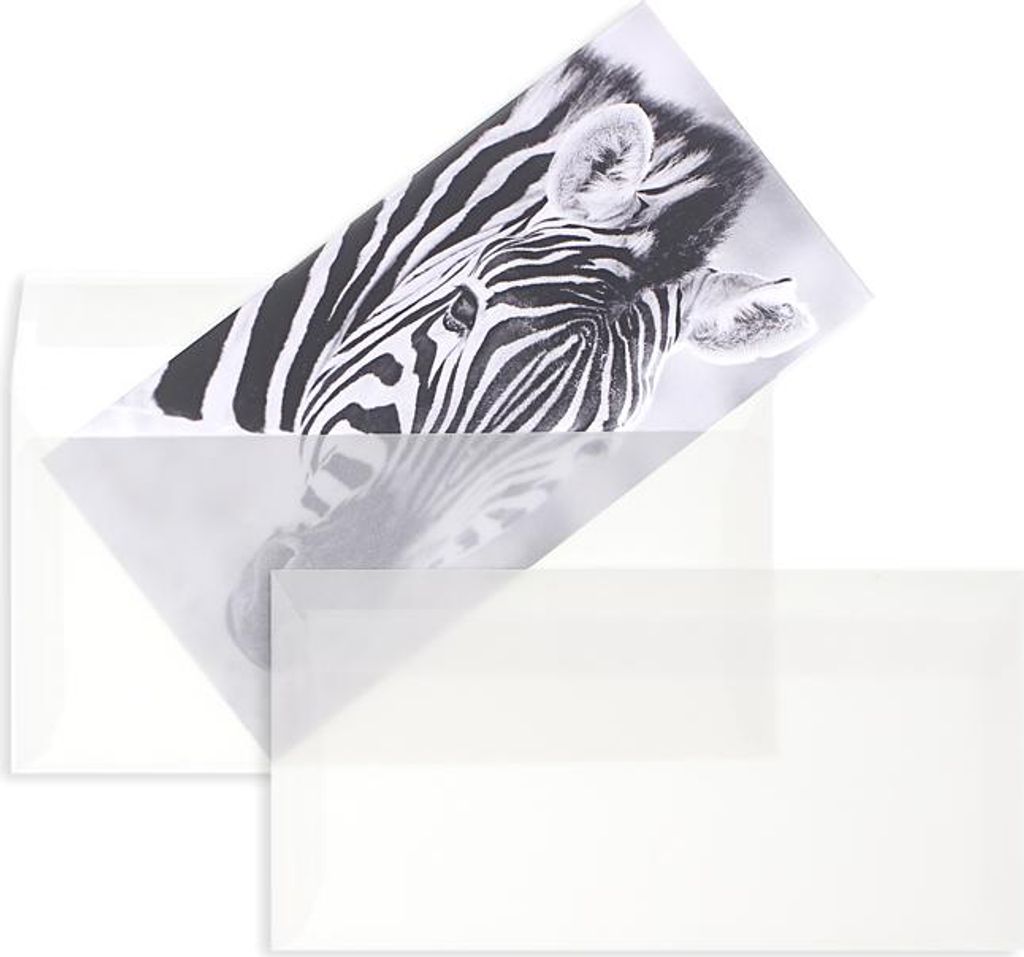 Transparente Briefumschläge - Weiß (Transparent-Weiß)110 x 220 mm (DIN Lang) | 90 g/qm Offset | Ohne Fenster | Haftklebung | Gerade Klappe | 100...