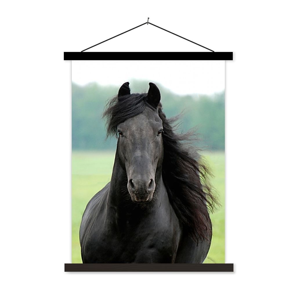MuchoWow Textilposter Friesisch - Pferd - Gras 60x80 cm mit schwarzem Rahmen - Plakathalter