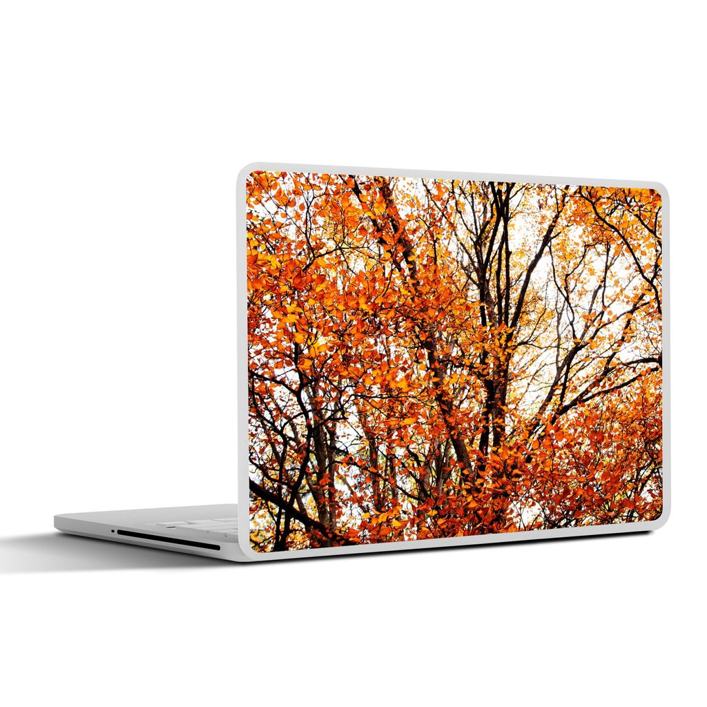 MuchoWow Laptop Aufkleber Sticker Cover Wald - Herbst - Jahreszeiten 30x22 cm - Laptop-Sticker