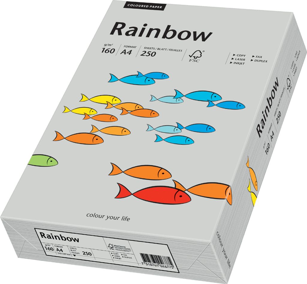 PAPYRUS Multifunktionspapier Rainbow A4 160 g/qm grau 250 Blatt