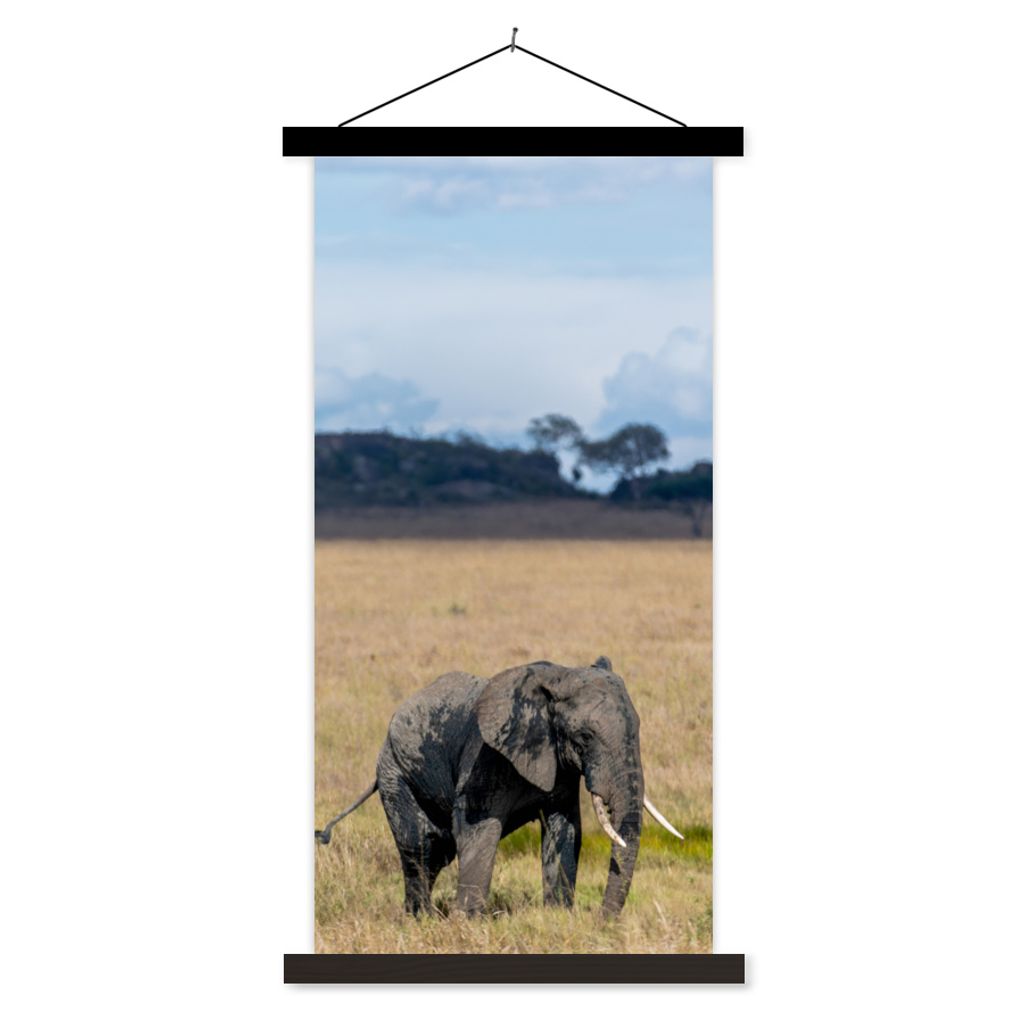 MuchoWow Textilposter Elefant - Gras - Tiere - Natur 60x120 cm mit schwarzem Rahmen - Magnete