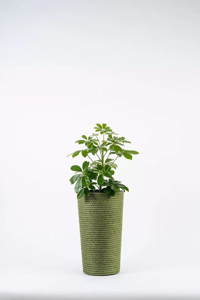 Adoni Blumentopf Jute Grün 22x36cm Pflanzkübel mit Einsatz Handgemacht Übertopf Hoch Blumenkübel Pflanzgefäß Boho Wohnzimmer Zimmerpflanzen D...