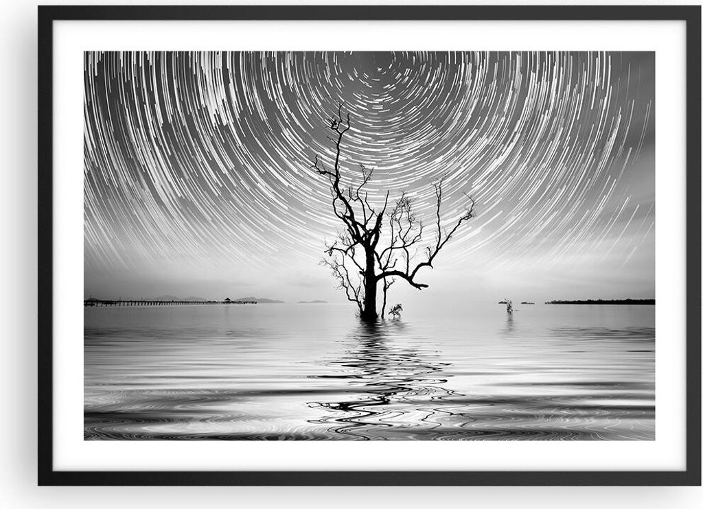 Gerahmtes Poster - Schwarzer Rahmen - Schwarzweiß Baum See - 70x50 cm - Wand Bild - Wanddeko - Wandbilder - Kunstposter - Wandposter - Bilderrahme...