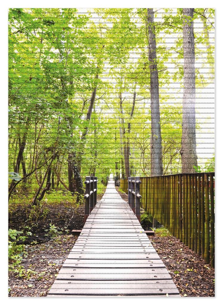Wallario Duschmatte Antirutschmatte Badmatte Fußmatte Spaziergang im Wald Holzweg über einen Fluss, Größe ca. 70 x 50 cm