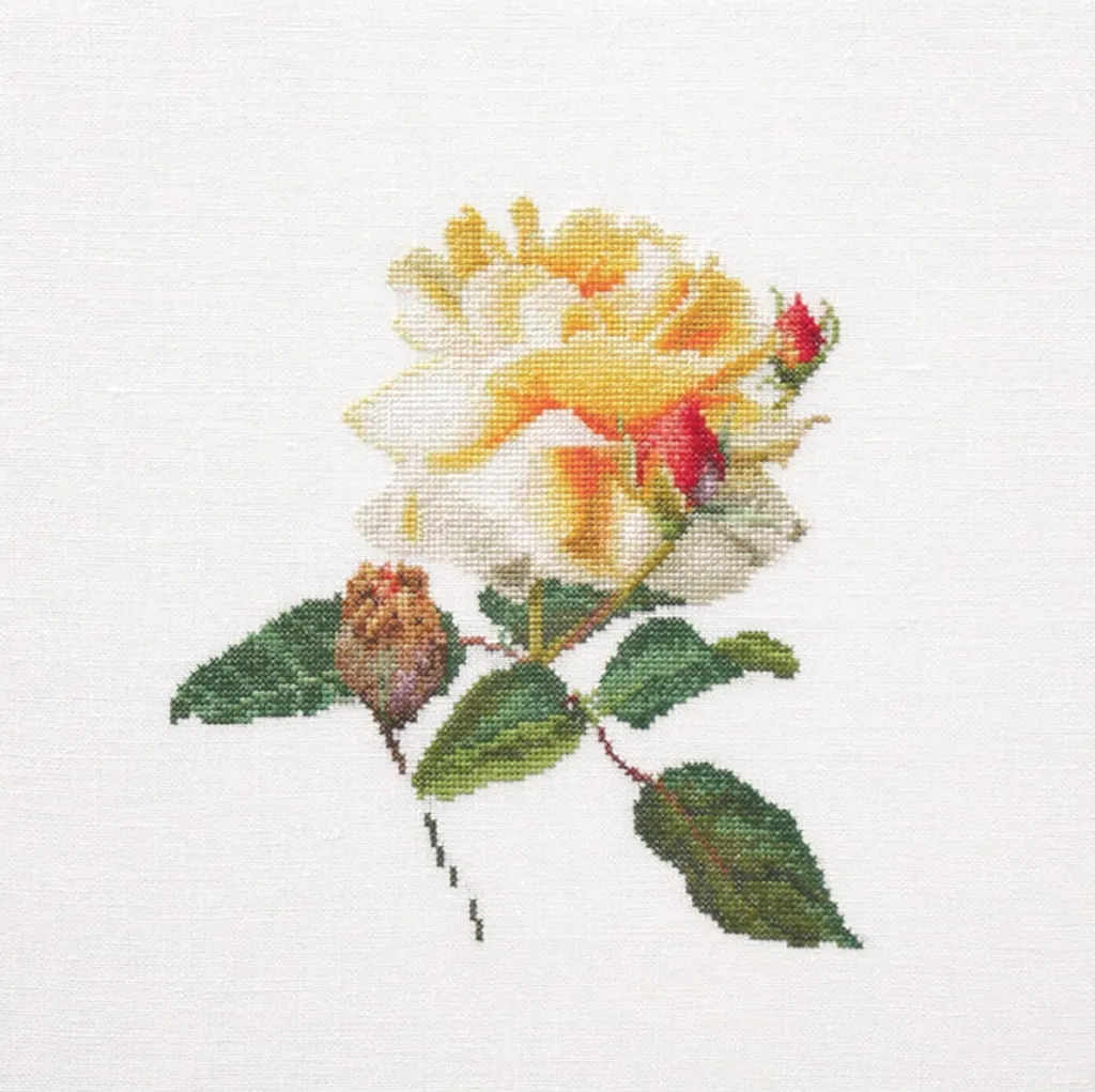 Point de croix Libérez Aida : kit broderie facile avec toile Aida 25x25