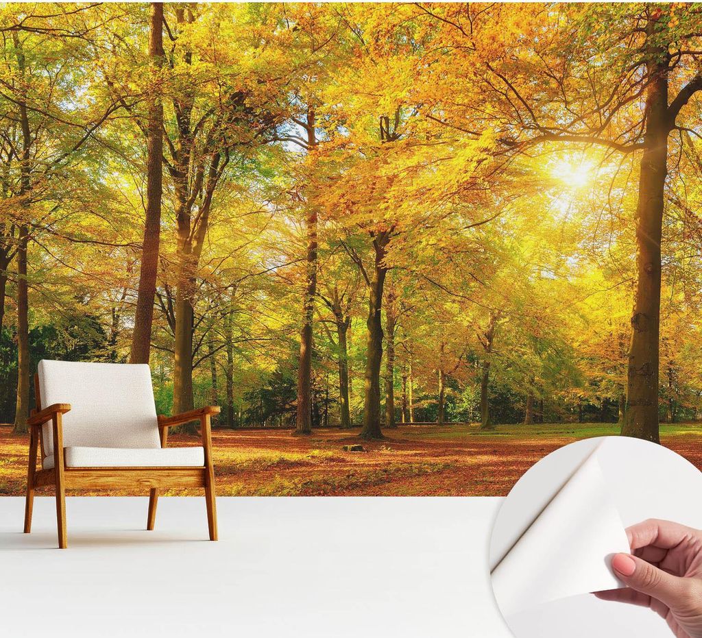 Fototapete selbstklebend - 312x219 cm - Tapete - Wandtapete - Wandbilder - Klebefolie - Dekofolie - Tapete Folie - Wand - Dekoration - Wohnzimmer -...