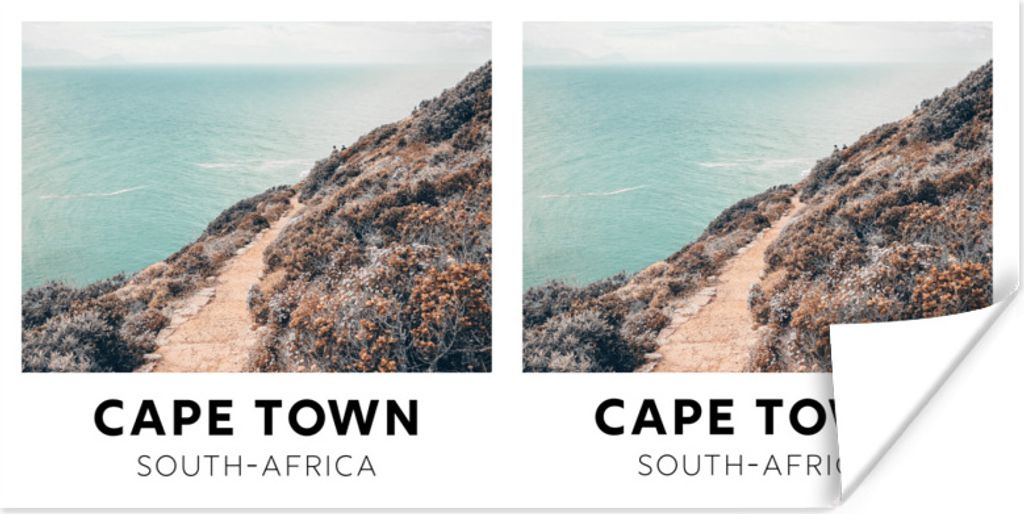 MuchoWow Poster Südafrika - Pflanzen - Meer 80x40 cm - Wanddeko