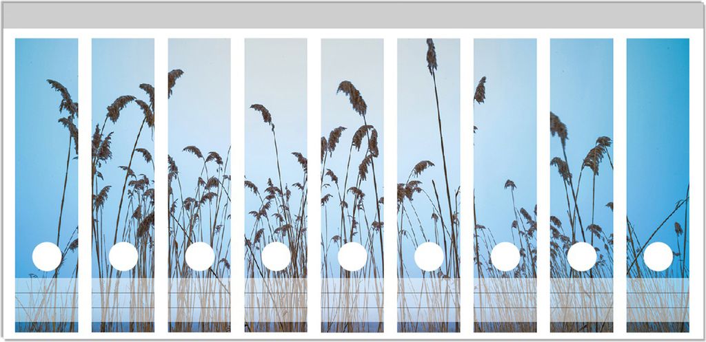 Wallario Ordnerrücken Sticker, selbstklebend für breite Ordner, 9 Stück, Motiv Schilfrohr am See vor blauem Himmel