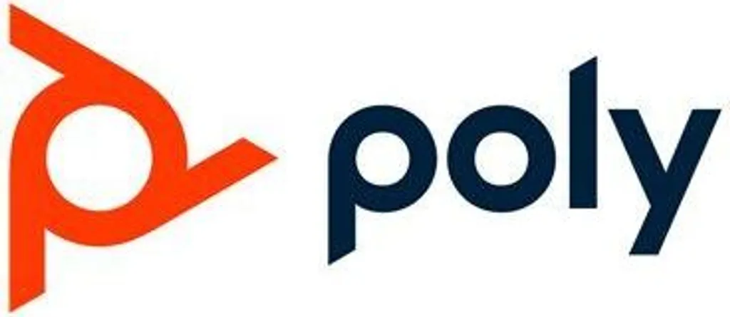 Cavo Training Poly Typ-Y | Raddoppia la Produttività del Call Center - 2