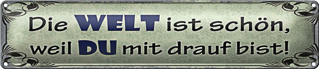 Blechschild Spruch 46x10cm Die Welt schön weil Du mit drauf