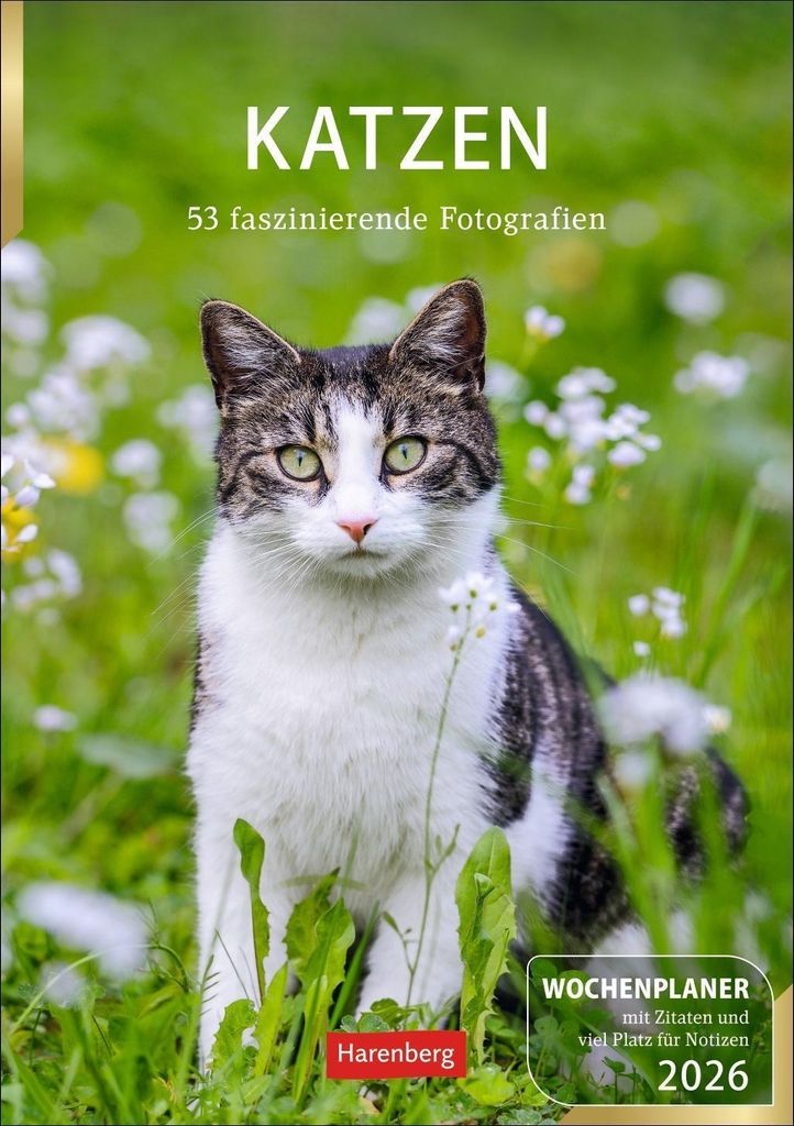 Katzen Wochenplaner 2026 - 53 faszinierende Fotografien Produktbild 