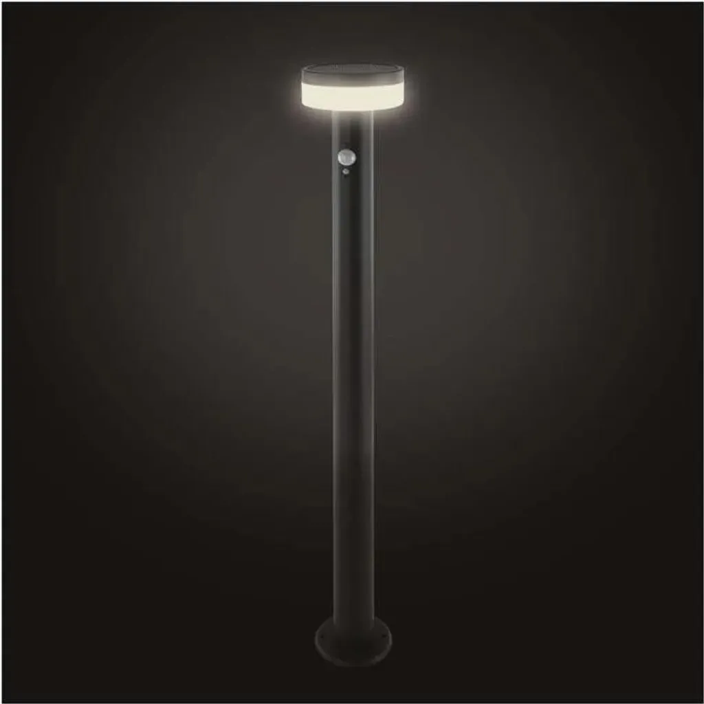 Lampe Solaire LED 2W Détecteur de Mouvement IP44 Finition Anthracite 80cm