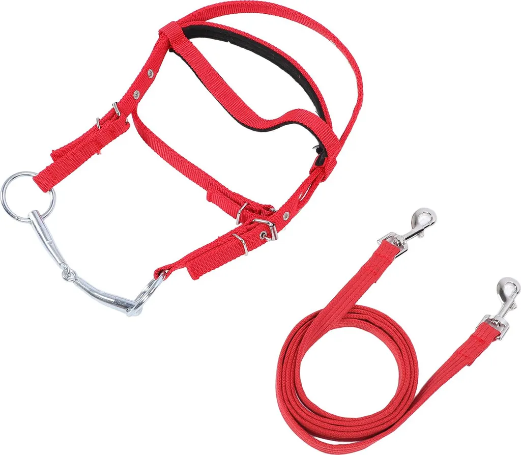 Bridon de Travail pour Cheval 1m30+ Rênes Nylon et Têtière Rouge Sport