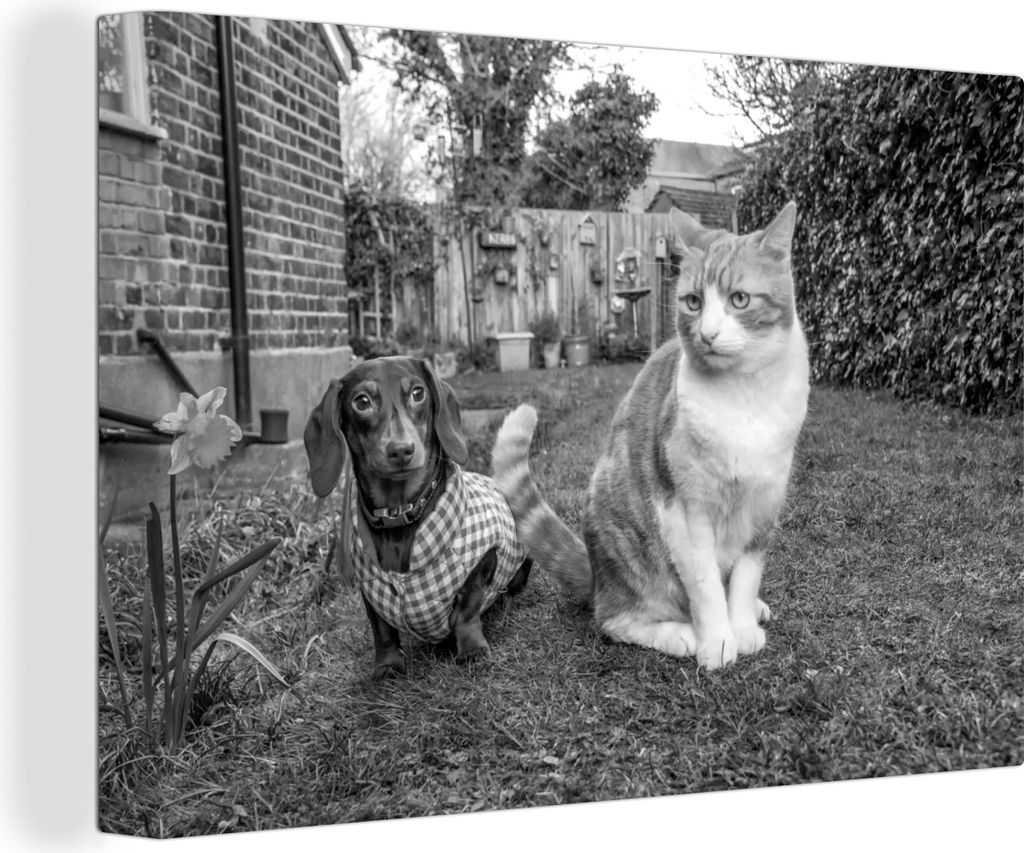 OneMillionCanvasses - Leinwandbilder - 140x90 cm, Hund und Katze sitzen im Gras - schwarz und weiß, Wandbilder Kunstdruck Wanddekoration