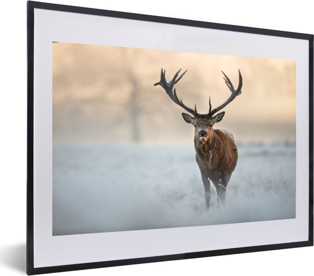 MuchoWow MuchoWow Gerahmtes Poster Hirsche - Natur - Winter 60x40 cm - Poster mit zchwarzem Bilderrahmen - Schlafzimmer - Plakat in Rahmen - Dr...