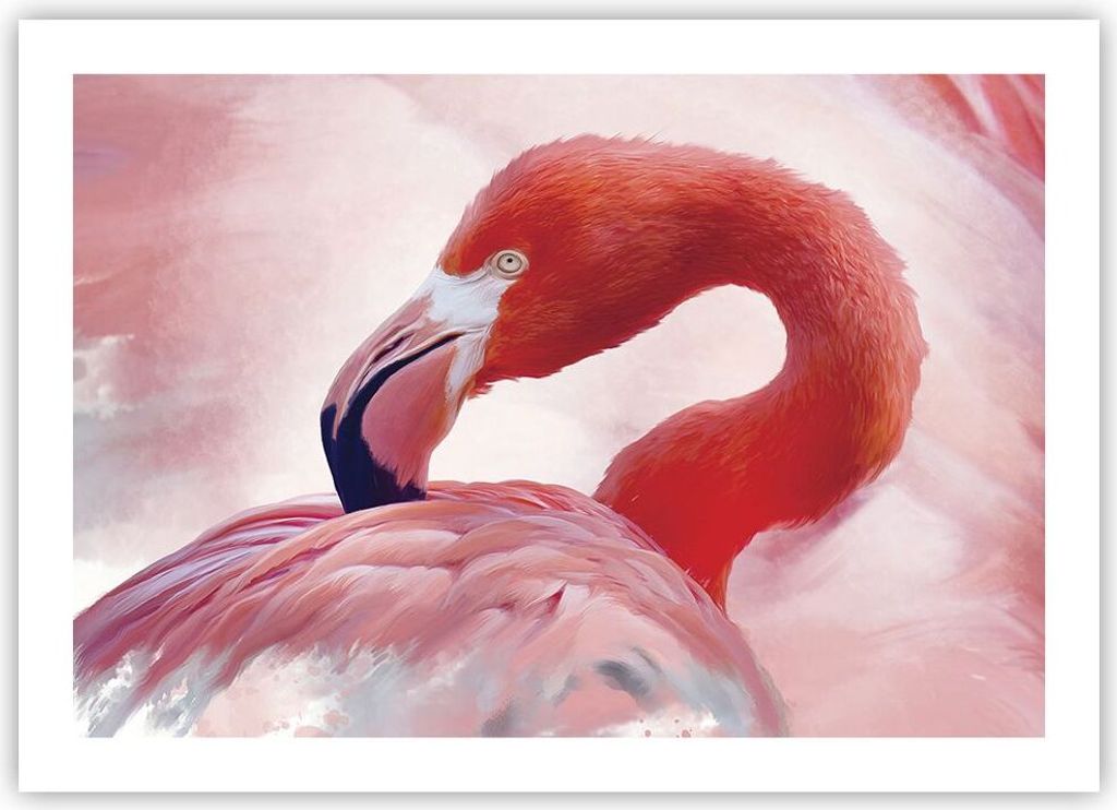 Poster - Poster ohne Rahmen - Flamingo Vogel Porträt - 70x50 cm - Wand Bild - Wanddeko - Wandbilder - Kunstposter - Wandposter - Bilder - Kunstdru...