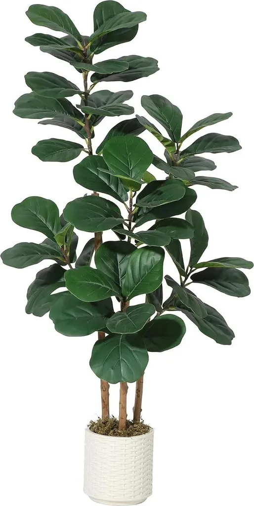 Ficus Modern - Fioriera In Plastica Riciclabile Per Esterni E Interni, Alta 58,4 Cm, Colore Bianco - 3