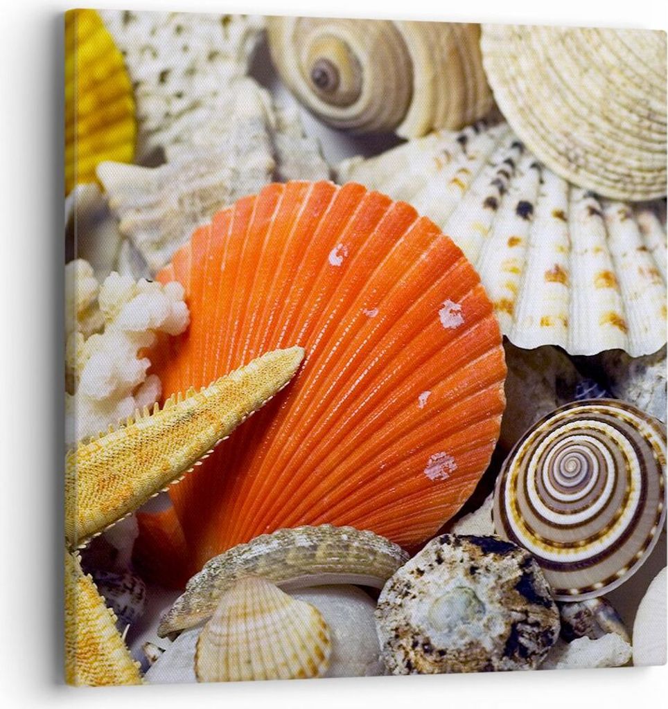 Bild auf Leinwand - Leinwandbild - Seashell Meer Strand Sand - 40x40cm - Wand Bild - Wanddeko - Leinwanddruck - Bilder - Kunstdruck - Wanddekoratio...