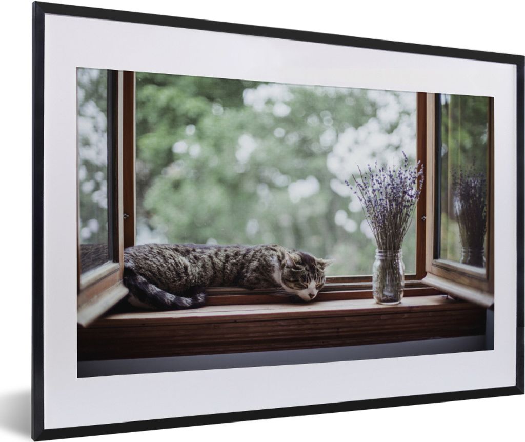 MuchoWow MuchoWow Gerahmtes Poster Zypresse Katze aus dem Fenster 60x40 cm - Poster mit zchwarzem Bilderrahmen - Schlafzimmer - Plakat in Rahme...