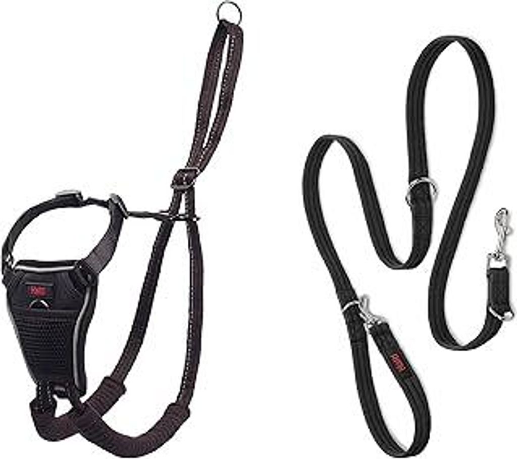 Halti No Pull Geschirr und Trainingsleine Kombi-Pack - Stop Dog Pulling on Walks mit Halti, Includes Medium No Pull Harness und Double Ended Lead