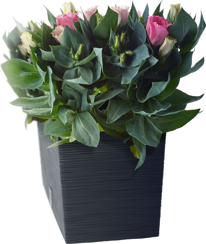 Vaso Da Balcone FURU Quadrato Antracite - Foto 9