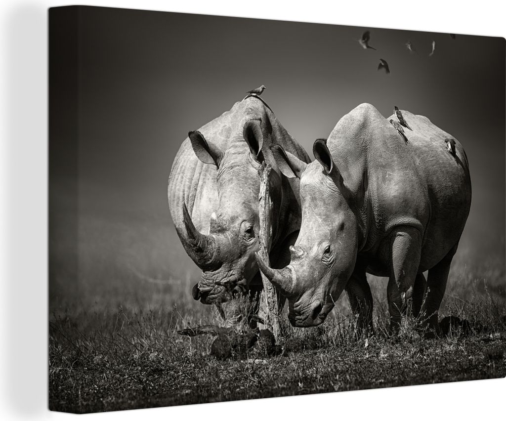 OneMillionCanvasses - Leinwandbilder - 150x100 cm, Nashorn - Vogel - Tiere - Landschaft - Schwarz und weiß, Wandbilder Kunstdruck Wanddekoration...