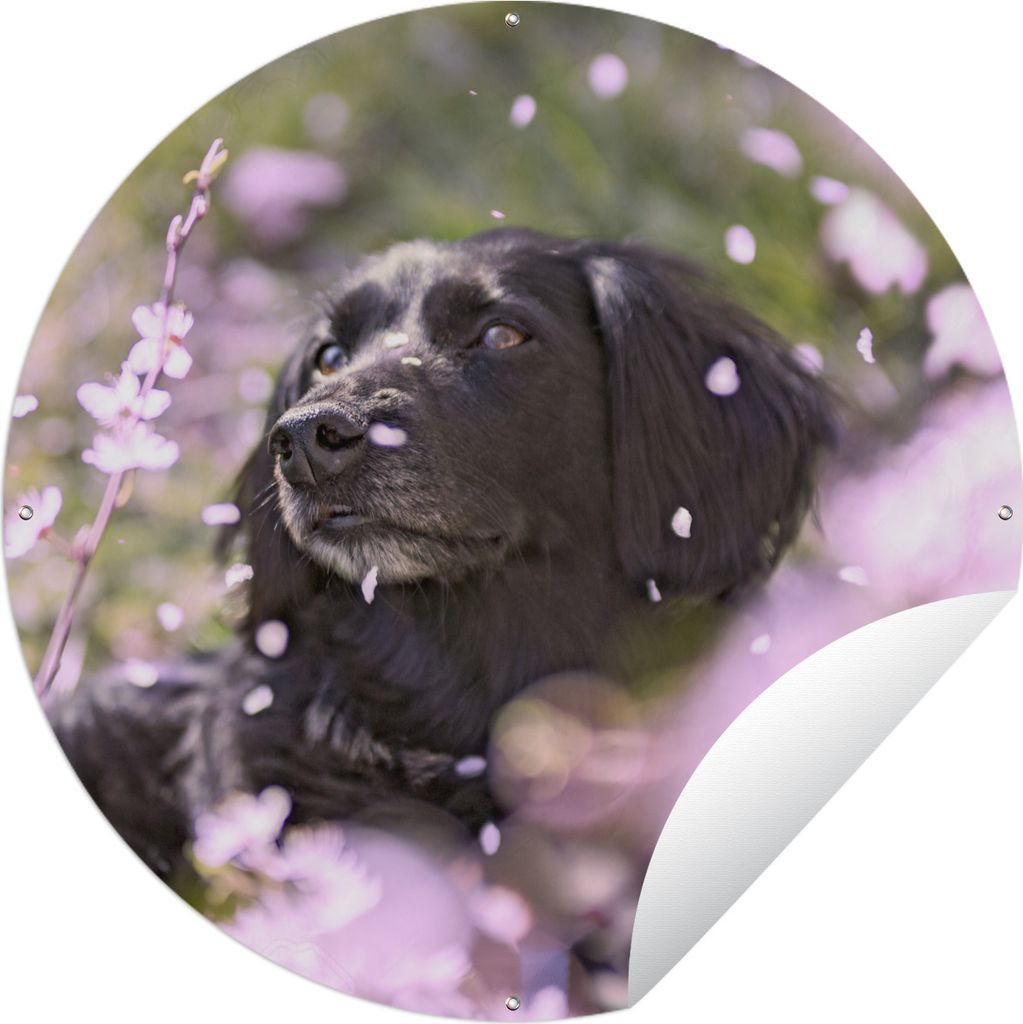 MuchoWow Gartenposter Outdoor-Poster Rund Hund - Blumen - Haustier Ø 120 cm Gartendeko Rundes Poster draußen