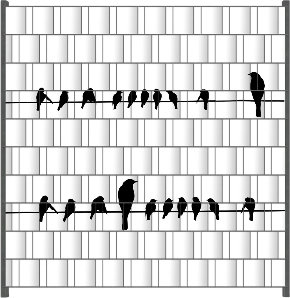Wallario Zaunsichtschutz mit Motiv Vögel auf einer Stromleitung für Ein- und Doppelstabmatten Zäune in der Größe 200 x 200 cm