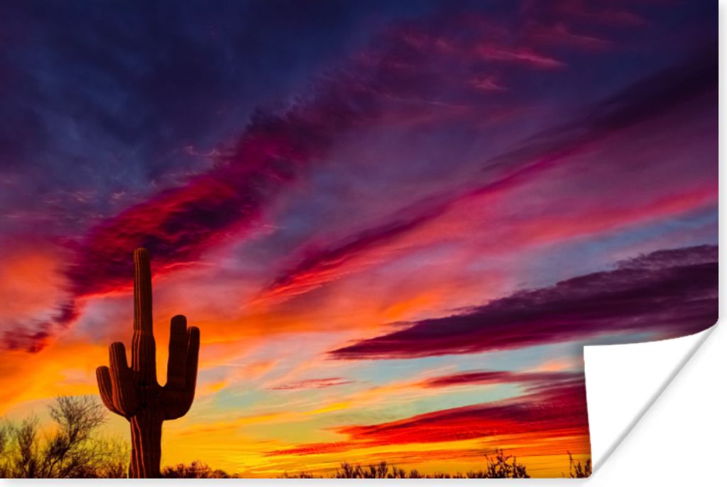 MuchoWow Poster Kaktus - Himmel - Sonnenuntergang - Lila - Rosa 180x120 cm - Fotoplakat