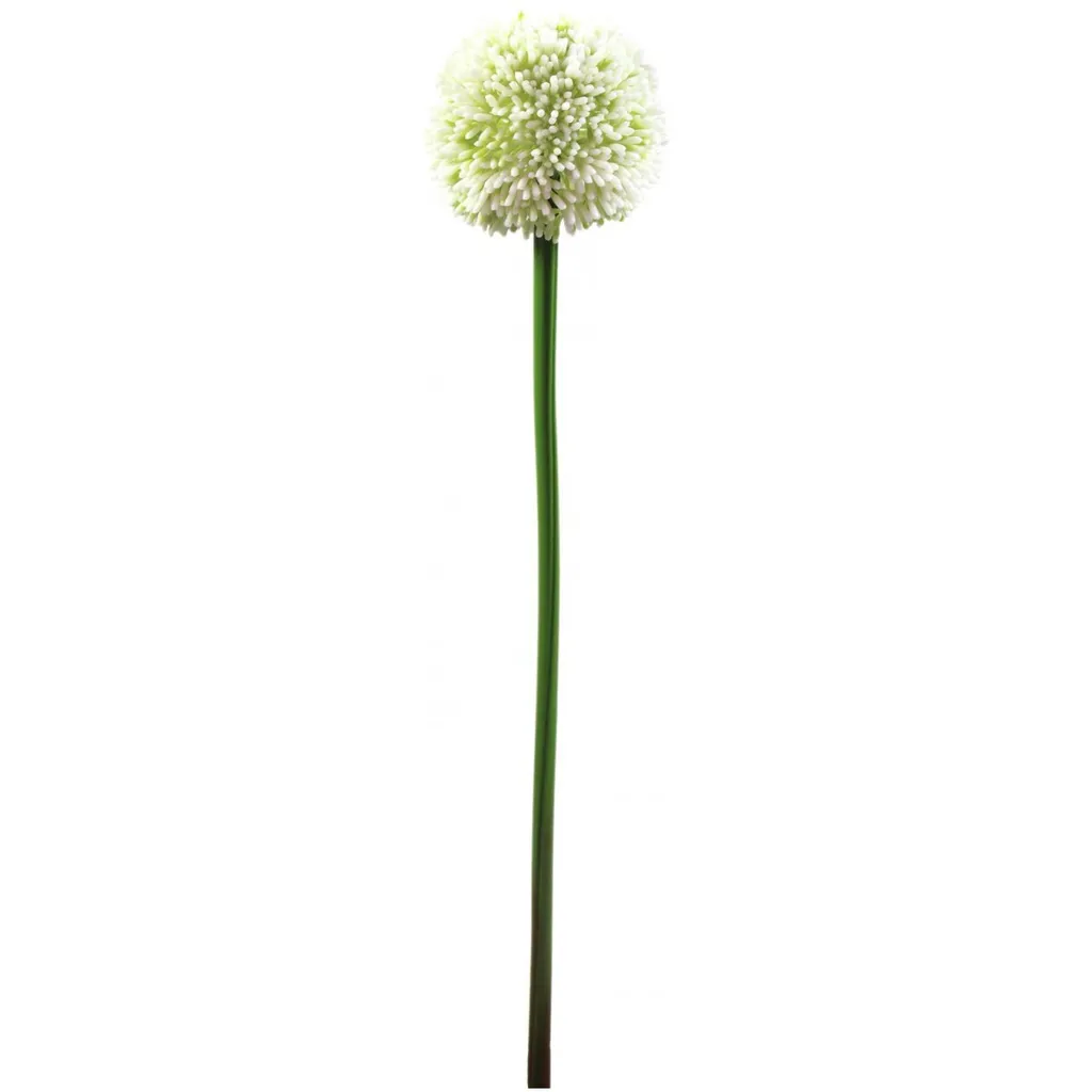 Allium Artificiel Crème 55cm - Fleur d'Ail Ornementale Haute Qualité