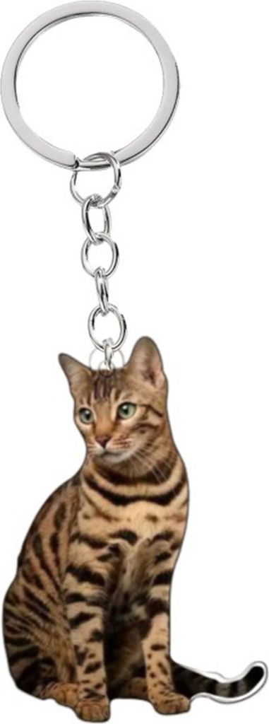 Katzen-Schlüsselanhänger, doppelseitig, 2D, flach, Acryl, Haustier, hängende Nachbildungation, lebensecht, Katzen-Schlüsselanhänger, Zubehör ...