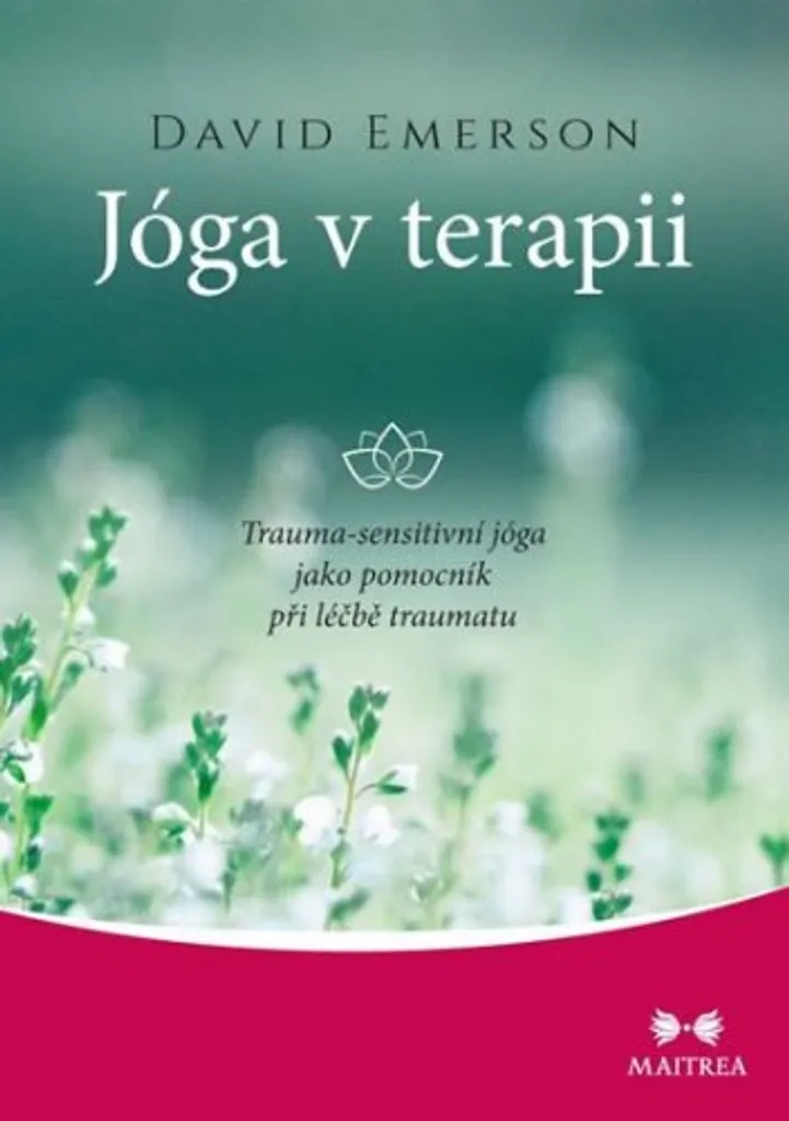 Yoga en thérapie : Yoga sensible au trauma par David Emerson - Guide