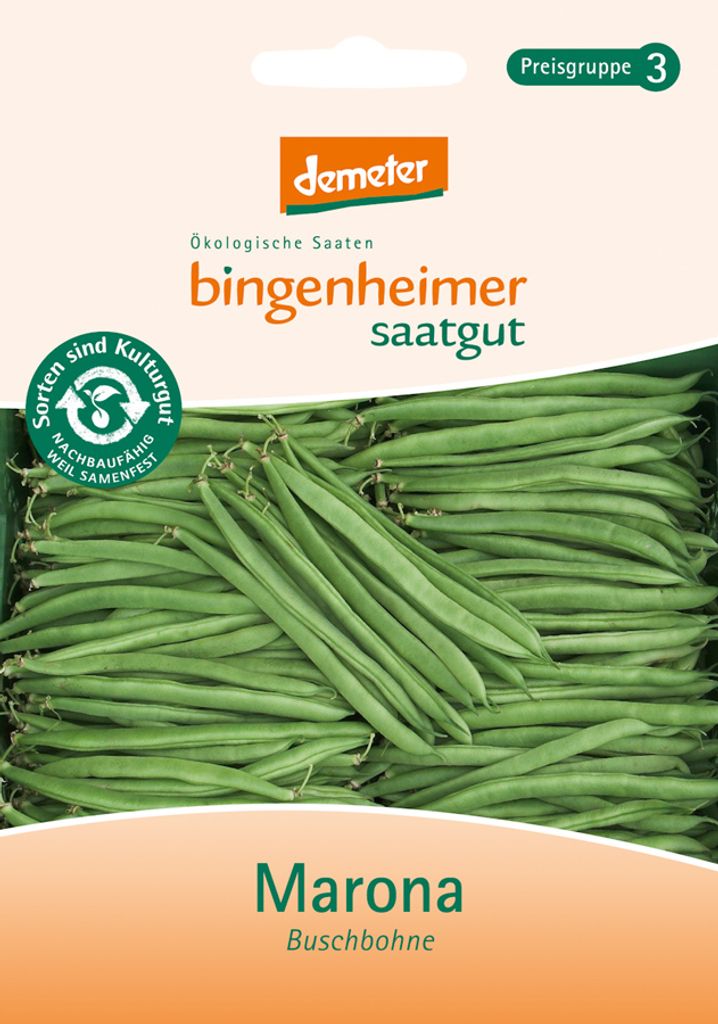 Bingenheimer Saatgut Buschbohne Marona 1 Stück
