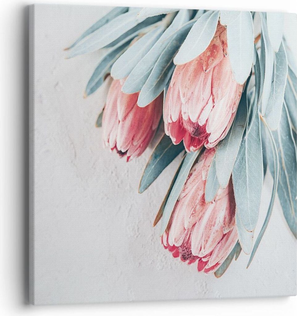 Bild auf Leinwand - Leinwandbild - Einteilig - Blume Eukalyptus Australier - 40x40cm - Wand Bild - Wanddeko - Wandbilder - Leinwanddruck - Bilder -...