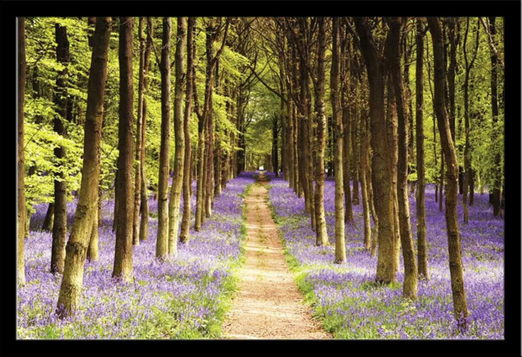 Décorez votre Salon avec le Poster Woodland Path et son Cadre Noir Chic
