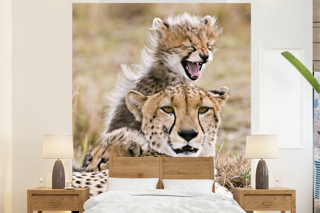 MuchoWow Fototapete für Wohnzimmer oder Schlafzimmer Wandtapete Vinyl Motivtapete Gepard - Jungtier - Gras - 225x280 cm - Wohnzimmer tapete